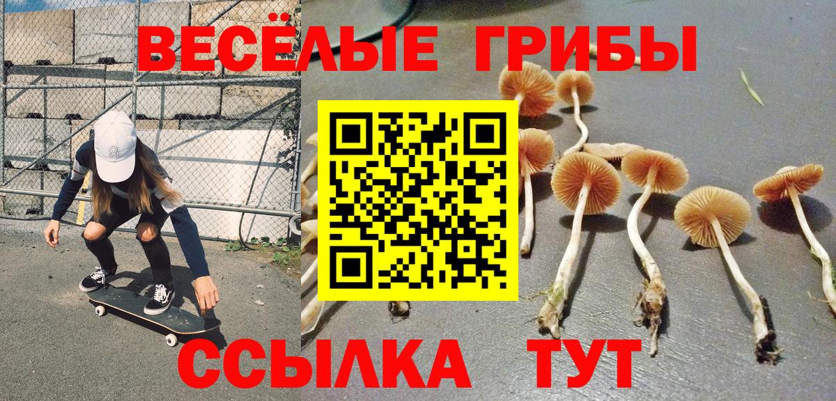 Галлюциногенные грибы мицелий Пенза